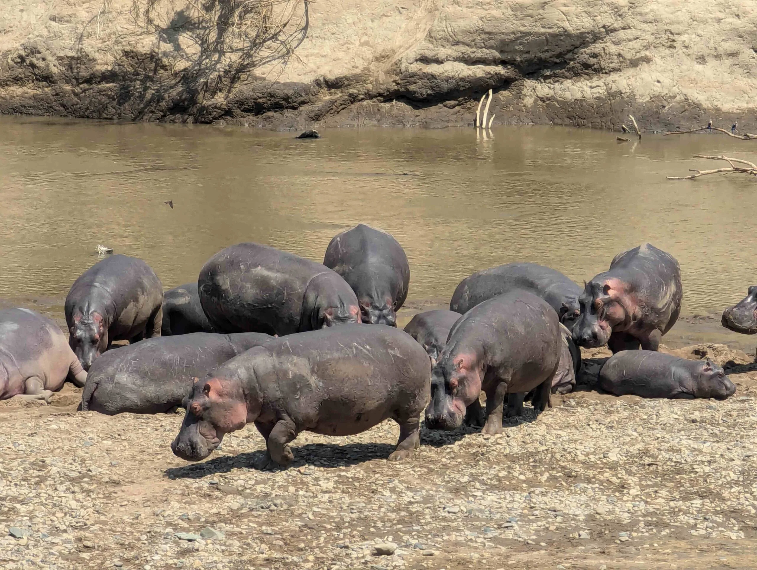 Group cycling adventure Tanzania
